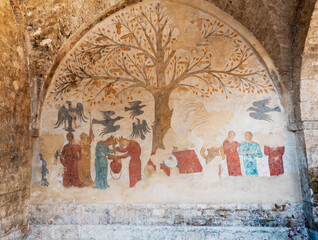 Tree of fertility, Massa Marittima, Tuscany - Italy.  The Albero della Fecondità is a rare example of a thirteenth century mural painting with a most unusual profane subject matter whose origins can b © tripper13