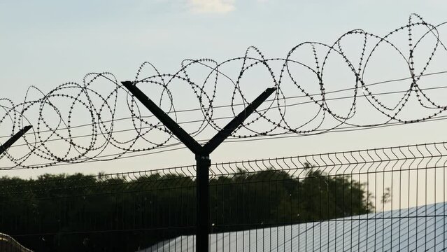 Barbed wire fence around the solar power plant during sunset. Mesh Fence. Fencing the territory on which the solar power elements. Field of solar panels behind razor wire.