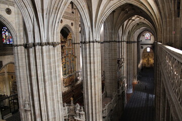 Obraz premium cathedral of salamanca