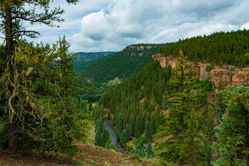 view of the mountains