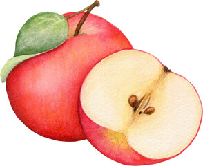 Watercolor red apple. Eco natural food