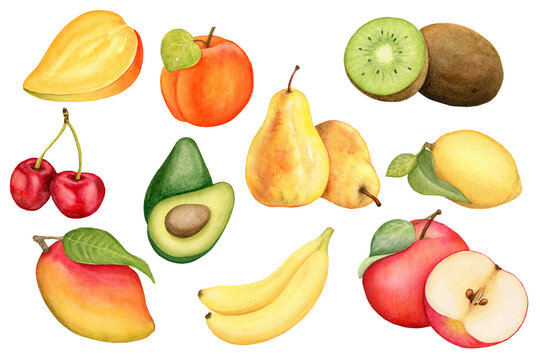 Watercolor kiwi, avocado, cherry, avocado, peach and ather. Exotic fruit set