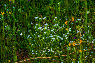 Lake Perris State Recreation Area in Moreno Valley and Perris California