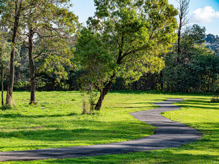 Curving Path