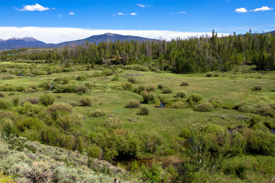 The Illinois River meanders through a meadow in Medicine Bow-Routt National Forest in Colorado