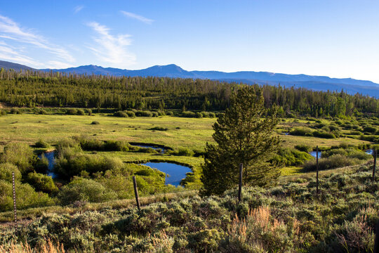 The Illinois River meanders through a meadow in Medicine Bow-Routt National Forest in Colorado