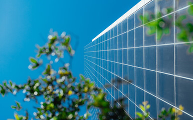 Fototapeta na wymiar blue sky and grass building downtown miami 