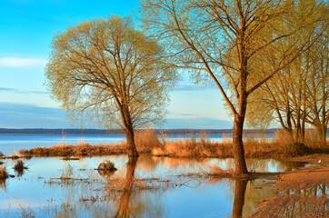 The shore of Lake Nero