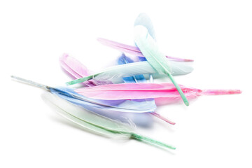 Different beautiful feathers on white background