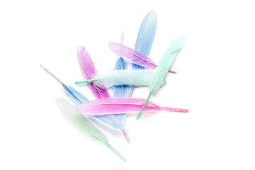 Different beautiful feathers on white background