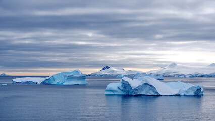 Icebergs in a bay at Portal Point, Antarctica