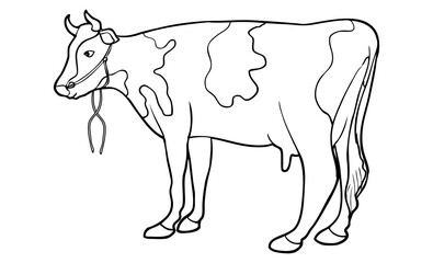 cow line vector illustration