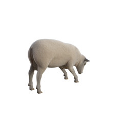Sheep photorealistic in different poses isolated on white background. 3d rendering-illustration.