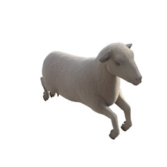 Sheep photorealistic in different poses isolated on white background. 3d rendering-illustration.