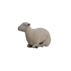 Sheep photorealistic in different poses isolated on white background. 3d rendering-illustration.