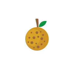 Longan fruit icon template vector