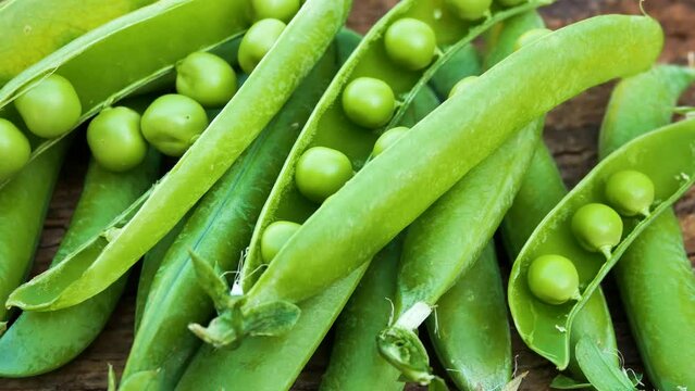 Fresh ripe green peas in pods and shelled peas. Plants rich in vegetable protein