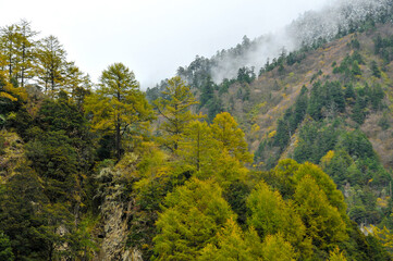autumn in the mountains