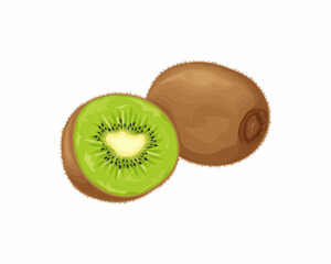 Kiwi fruit. Ripe kiwi. Image of a ripe kiwi fruit. Vitamin fruit. Organic vegetarian products. Vector illustration isolated on a white background