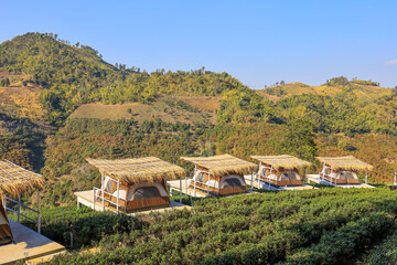 Tents for tourists and beautiful landscape at  Wang Put Tan Tea Plantation,Doi Mae Salong,Chiang Rai province,Northern Thailand.