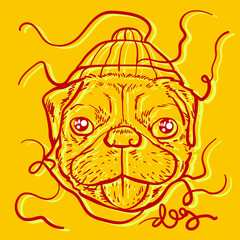 Cute cat and dog together on colours background