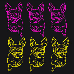 Cute cat and dog together on colours background