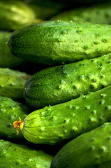close up of fresh cucumbers