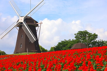 windmill with red flowers