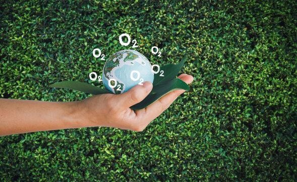 Woman holding earth in hands, Energy saving concept.