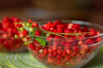 свежесобранная  ароматная земляника на столе