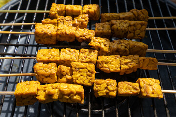 Kind of Tempe by creation of Indonesian