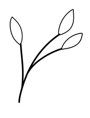 Leaves Line Art