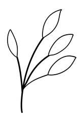 Leaves Line Art