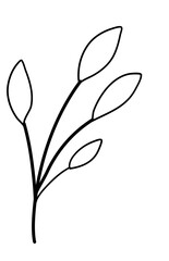 Leaves Line Art