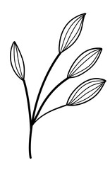 Leaves Line Art