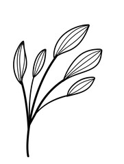 Leaves Line Art