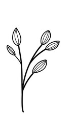 Leaves Line Art