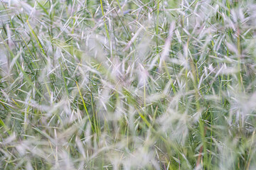 Der Blick in einer der vielen Felder!