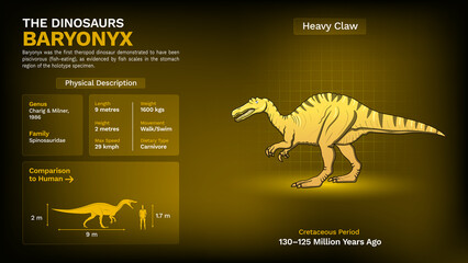Description and Physical Characteristics of Baryonyx - Vector Illustration © BonkersArt