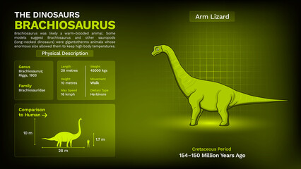Description and Physical Characteristics of Brachiosaurus - Vector Illustration © BonkersArt