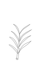 Leaves One Continuous Line