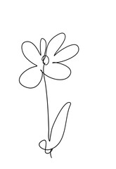 Flower One Continuous Line
