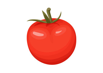 vector illustration of fresh tomato