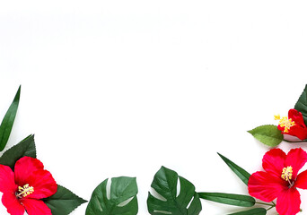 ハイビスカスのフレーム　夏のイメージ素材