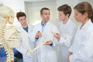 Doctor with students holding hand of skeleton