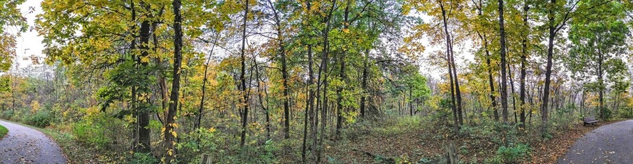 Autumn park path and foliage panorama