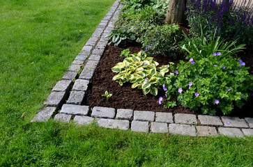 flowerbed on the promenade in the park with ornamental perennials. the edge is a curved curb of granite paving blocks. separates the flowerbed in the rectangle from the lawns