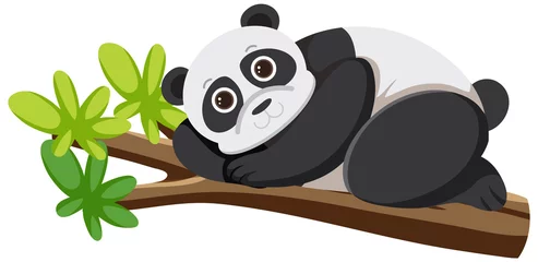 Cute panda bear in flat cartoon style © blueringmedia