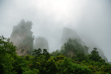 Avatar mountains in dense fog in Zhangjiajie, Hunan, China, horizontal image with copy space for text, wallpaper, background