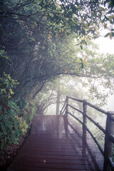 The wooden sidewalk across the misty forest in Zhangjiajie, Hunan, China, vertical background image with copy space fo text